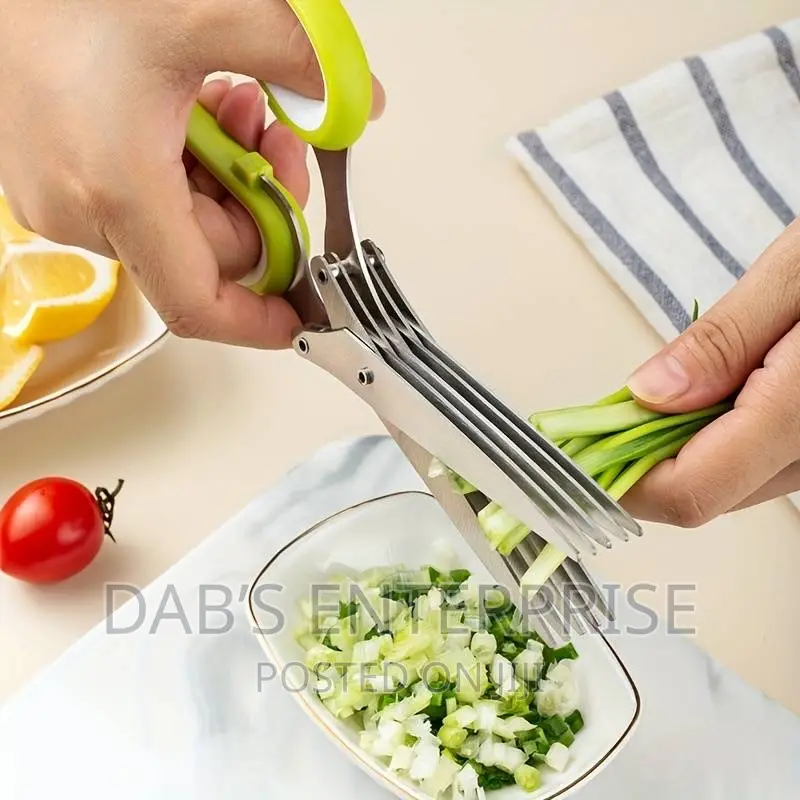 5 Blade Multipurpose Kitchen Scissors