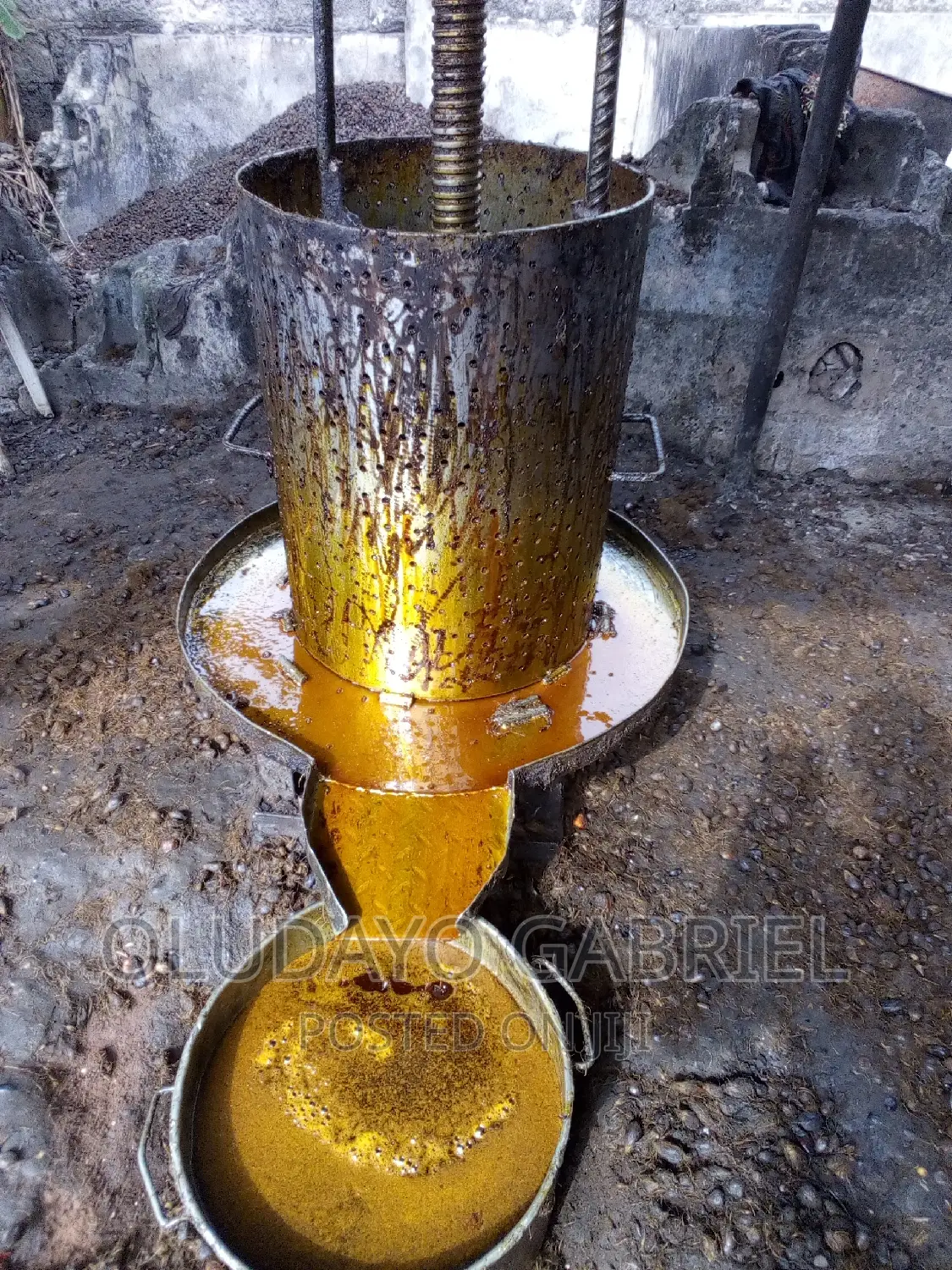 Complete Set of Palm Oil Processing Equipments