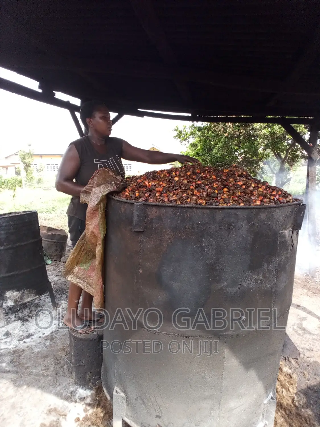 Complete Set of Palm Oil Processing Equipments