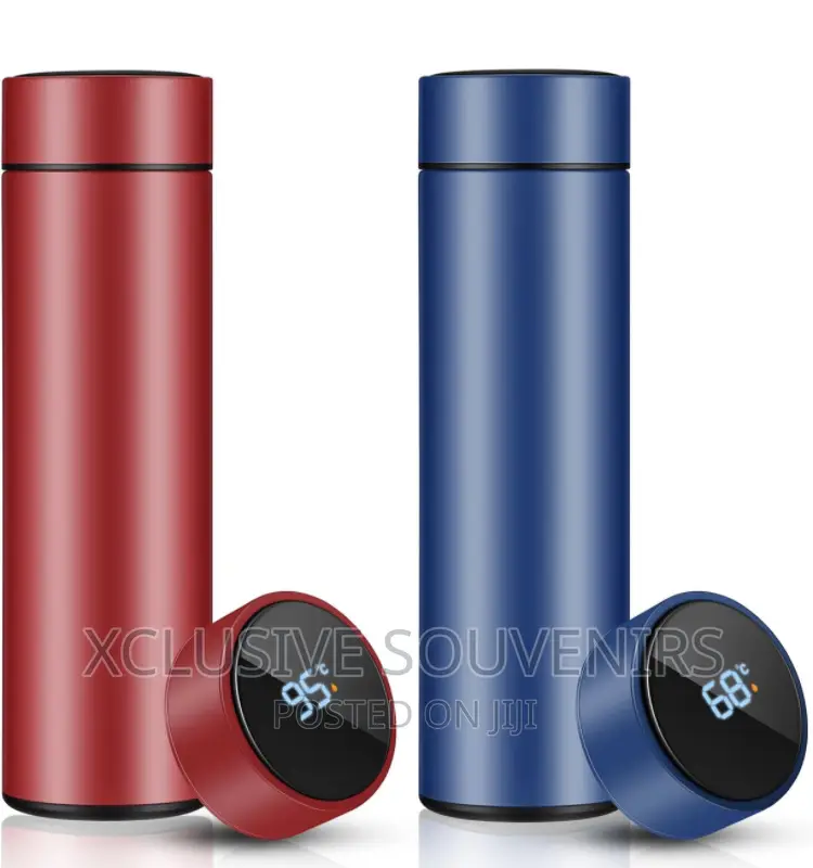 500ml Smart Water Bottles With Digital Temperature Display