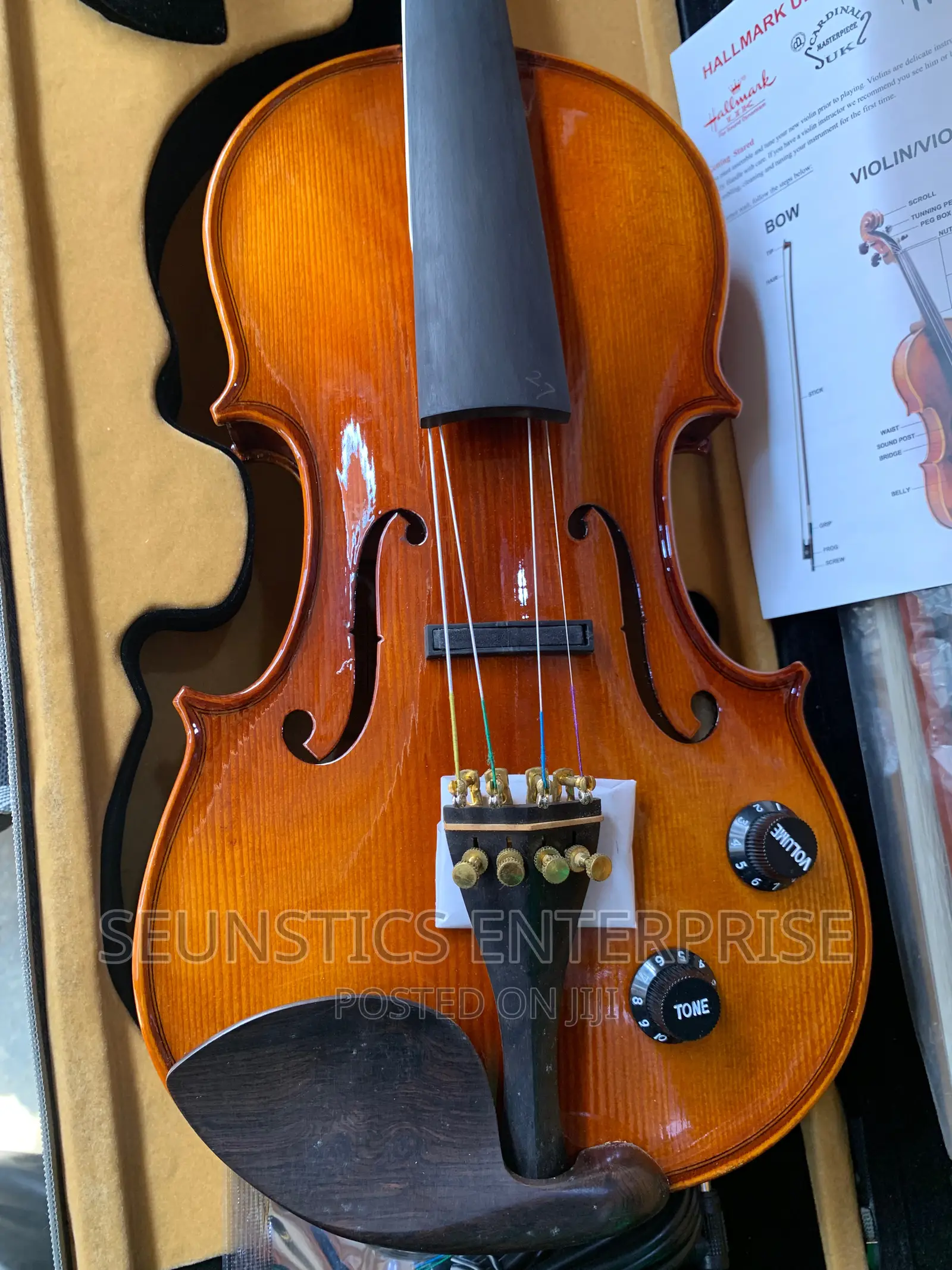 Quality Hallmark Cardinal Concert Electro Acoustic Violin