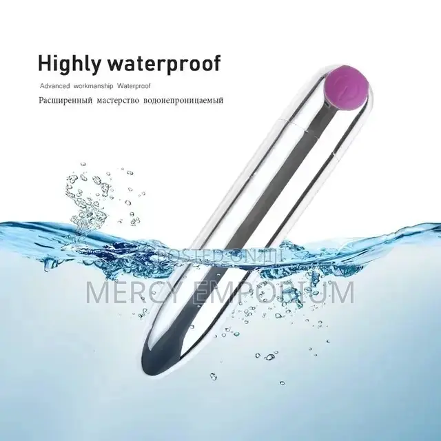 Bullet Waterproof Women's Rechargeable Sex Toy Vibrator