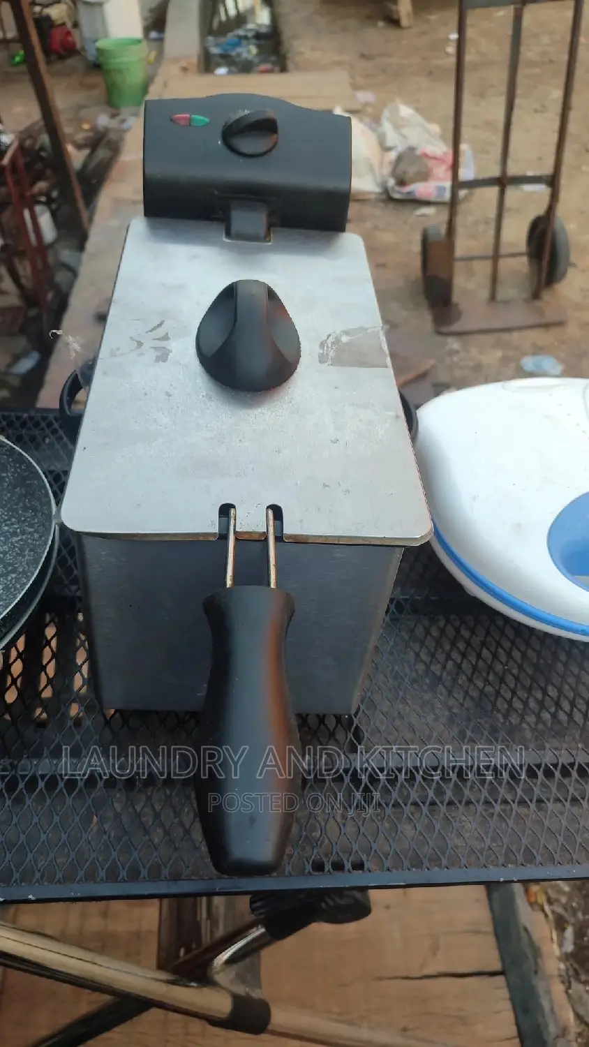 Aeg Stainless Steel Body Deep Fryer For Ur Chips, Chicken