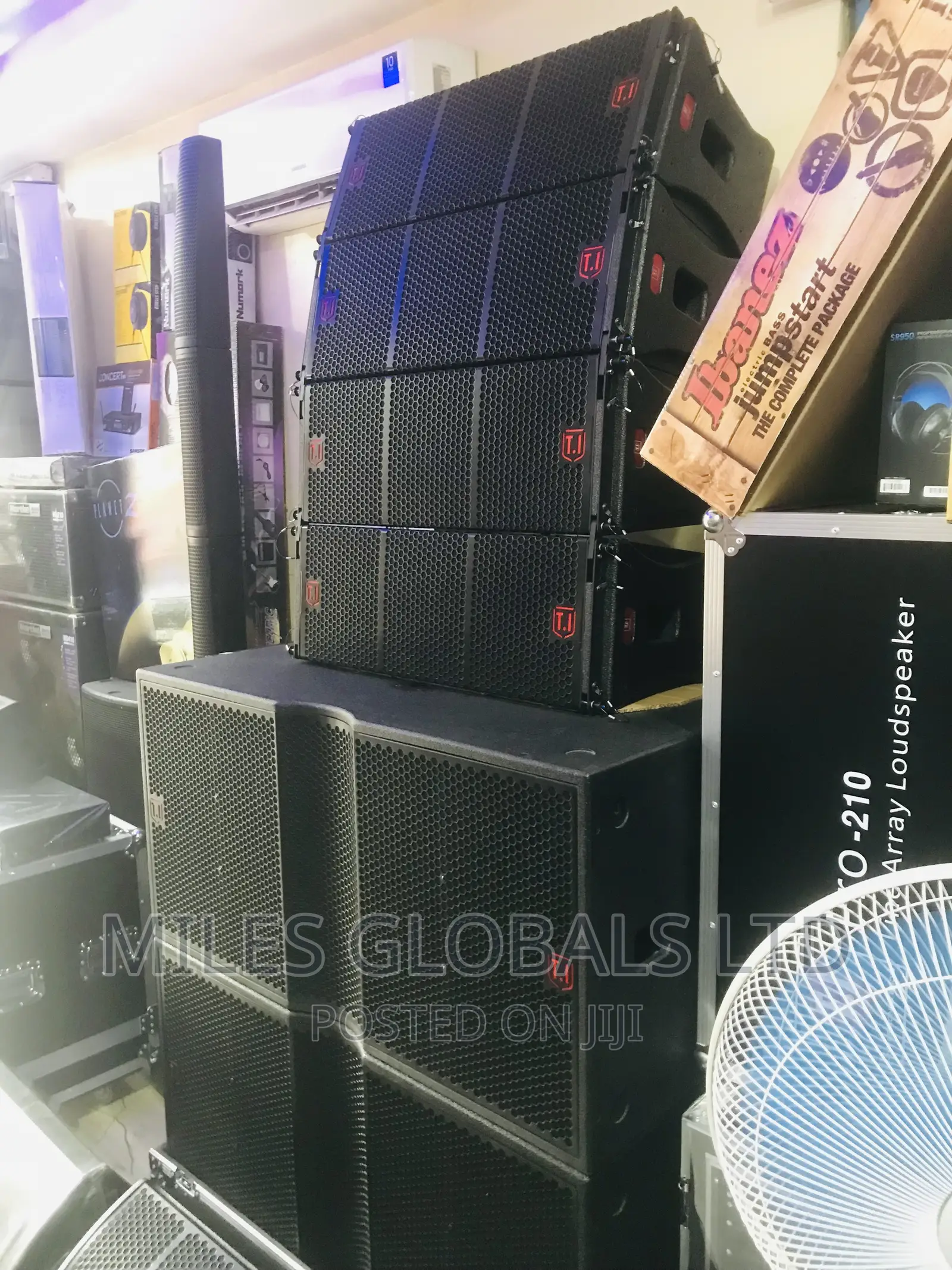 T.I Line Array Speakers Powered Line Array System Pro Audio