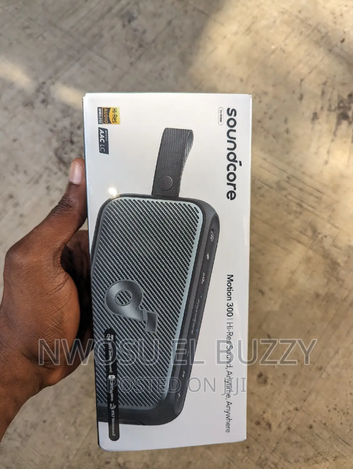 Soundcore Motion 300 Wireless Hi-Res Speaker