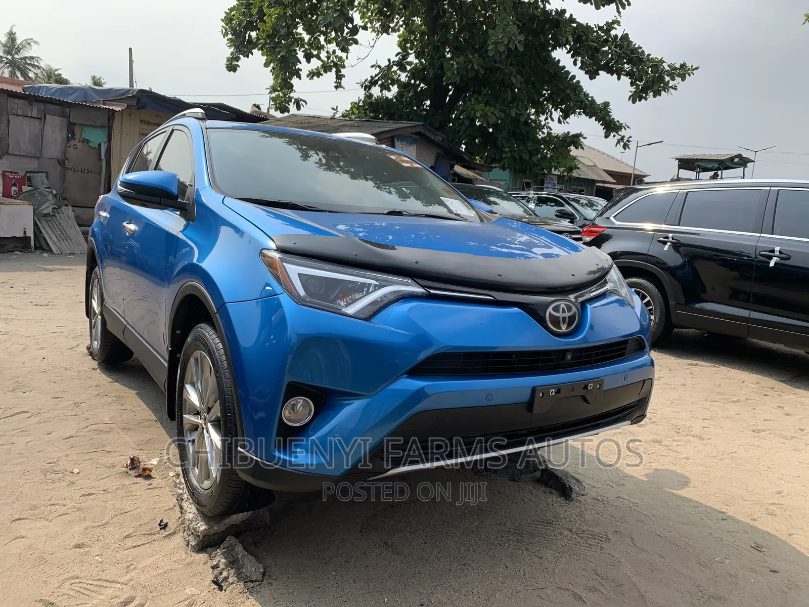 Toyota RAV4 2019 Blue