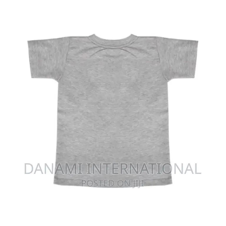 Danami Birthday Boy Printed Children T Shirt