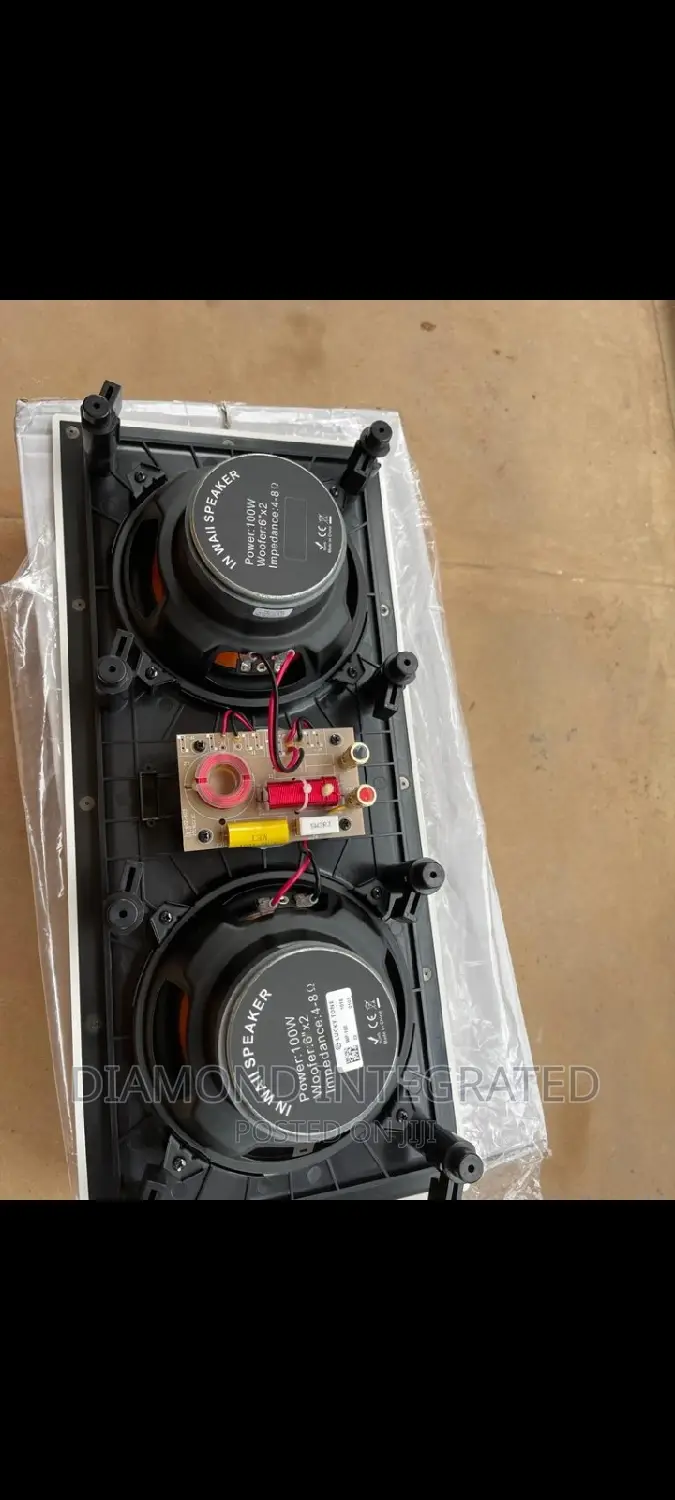100w 2 in 1 Inwall Speaker