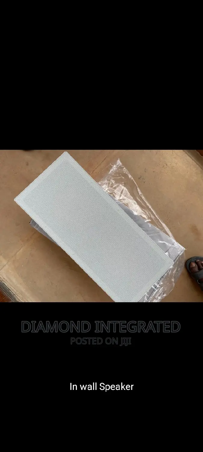 100w 2 in 1 Inwall Speaker