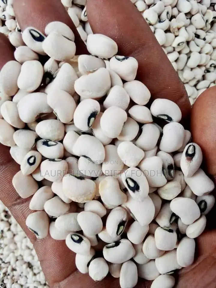 Dirt Free Beans