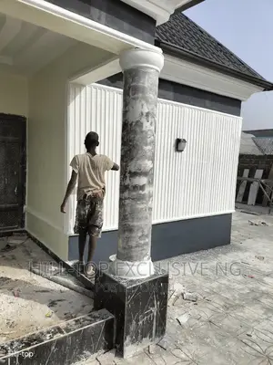 Professional Painting
