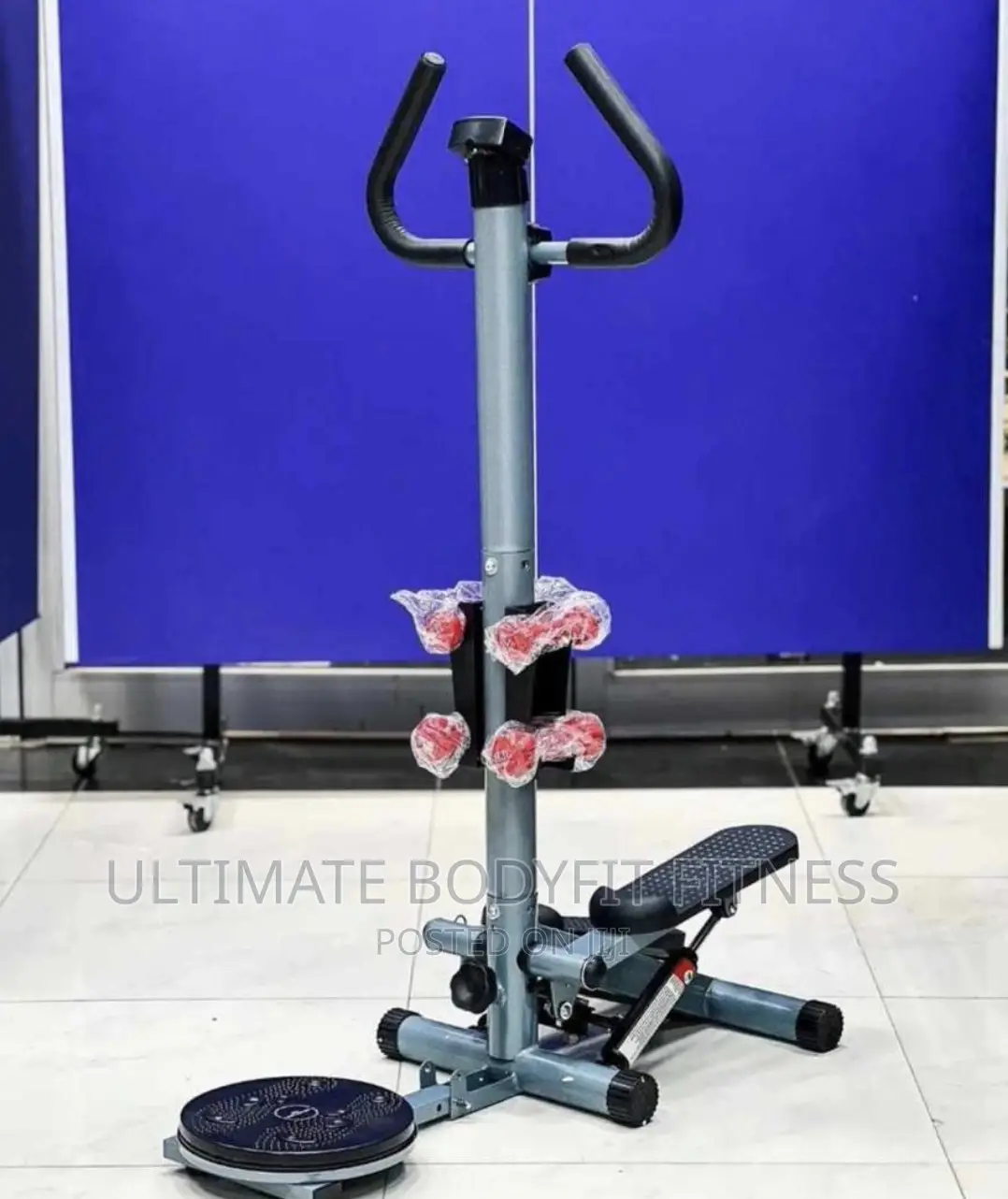 Brand New Standing Stepper With Twister Dumbbell