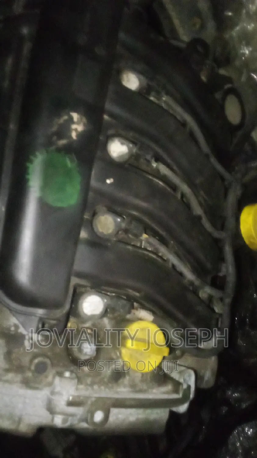Renault Duster Engine