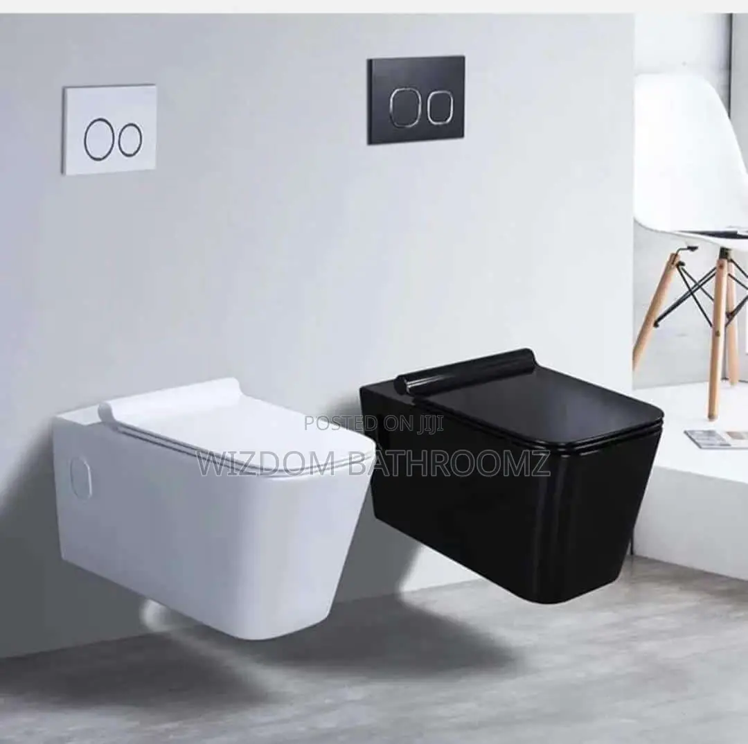 Conduit Wc, Wall Hung