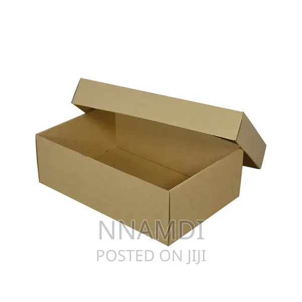 Strong Carton Shoe Box for Sale