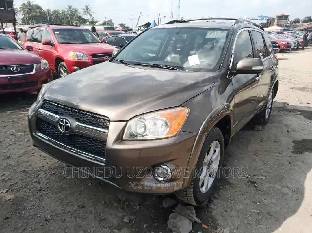 Toyota RAV4 2.5 Limited 2010 Brown