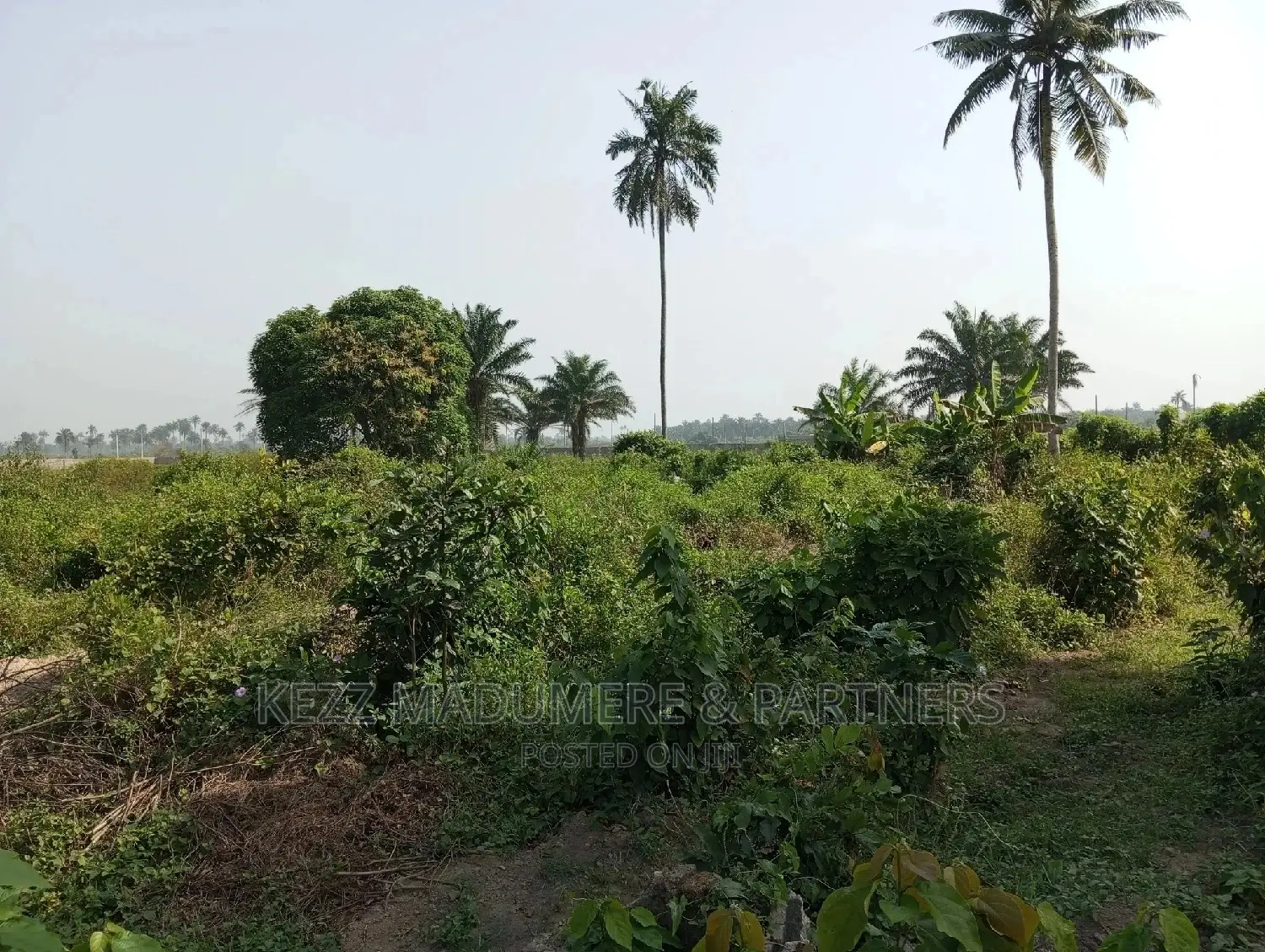 For Sale: 5 Plots at Apu Rd, Rukpokwu