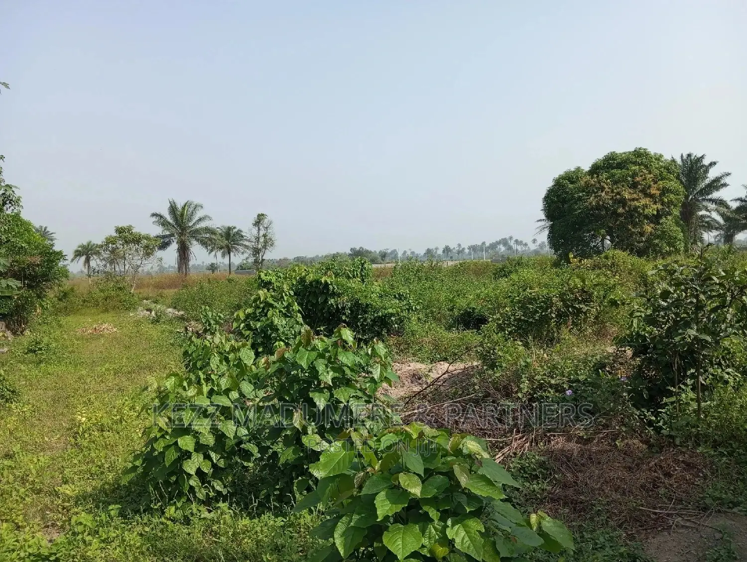For Sale: 5 Plots at Apu Rd, Rukpokwu