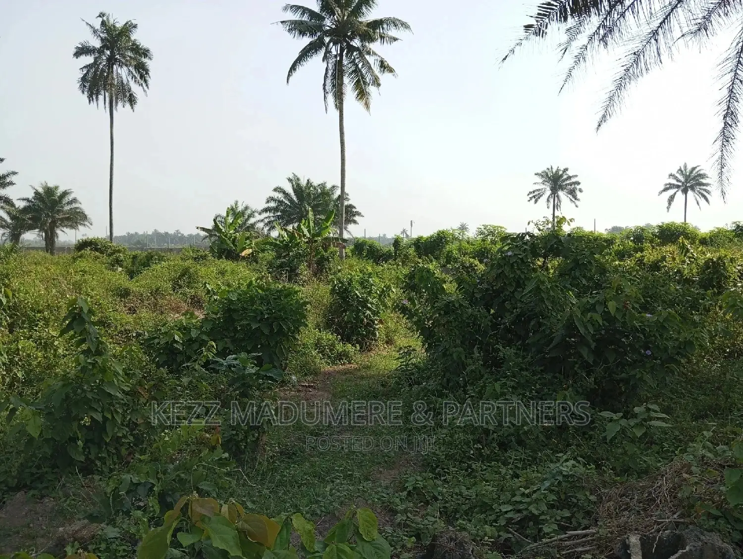 For Sale: 5 Plots at Apu Rd, Rukpokwu