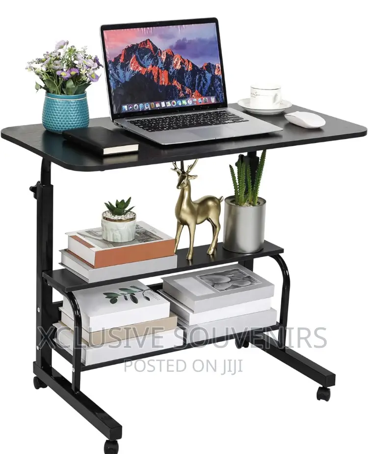 Adjustable Height Desktop/Laptop Desk With Storage and Wheel