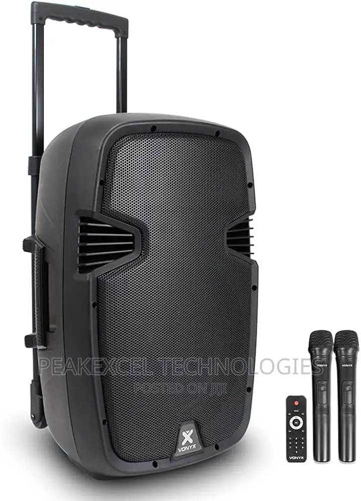12 Inches PA Speaker With Bluetooth and Wireless Microphones