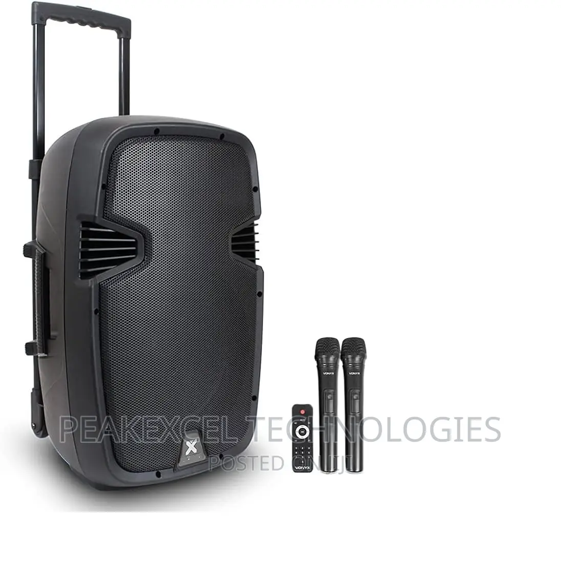12 Inches PA Speaker With Bluetooth and Wireless Microphones