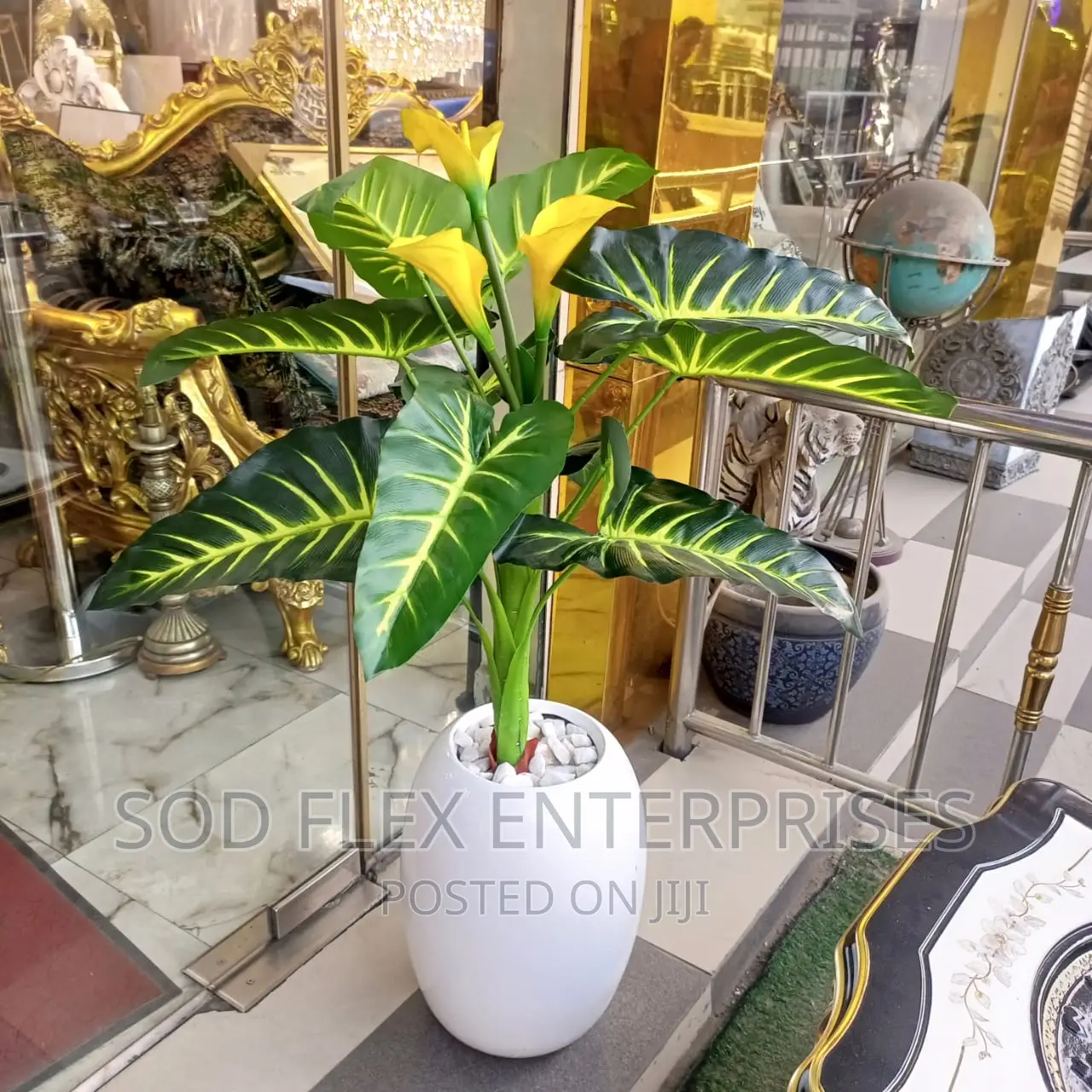 Beautiful Flower With Pot