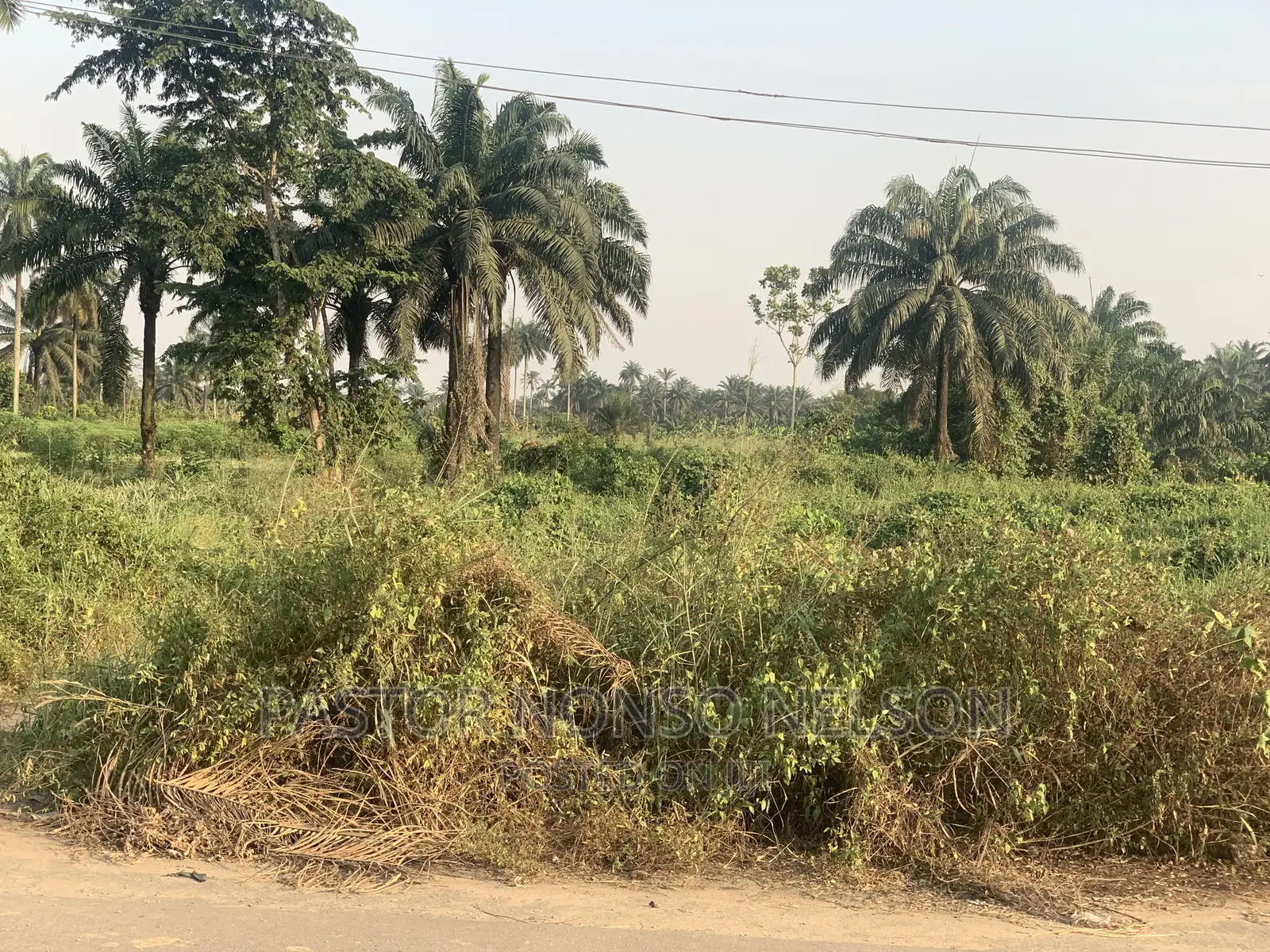82plots of Land, Facing Owerri/Portharcourt Road(Umuapu)