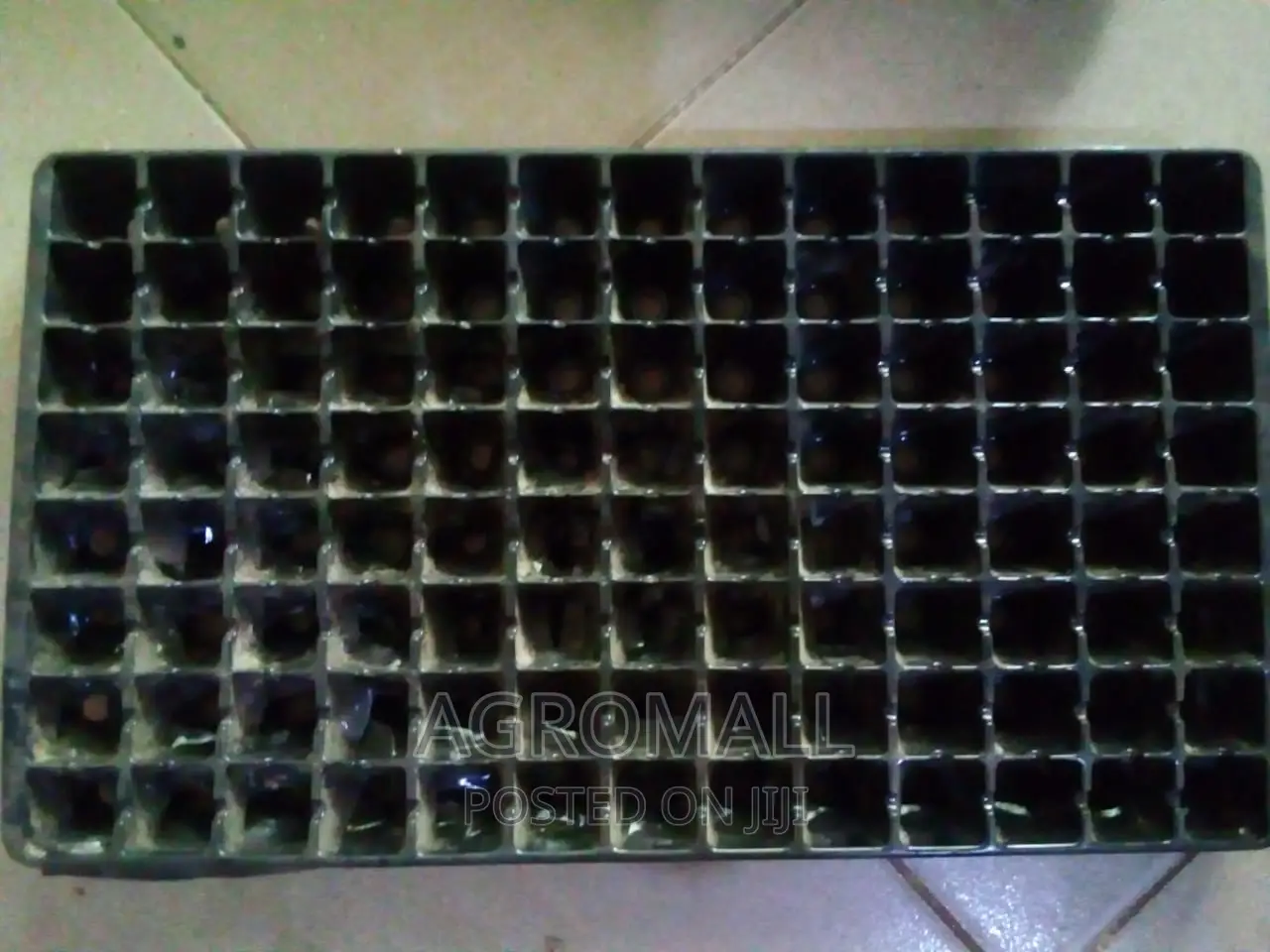 Seed Trays _ With Different Holes