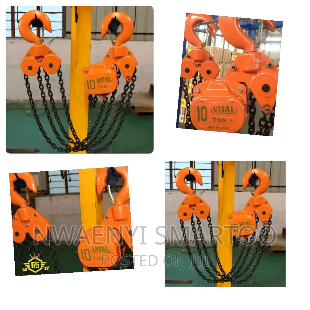 10ton Vital Chain Block Made in Japan