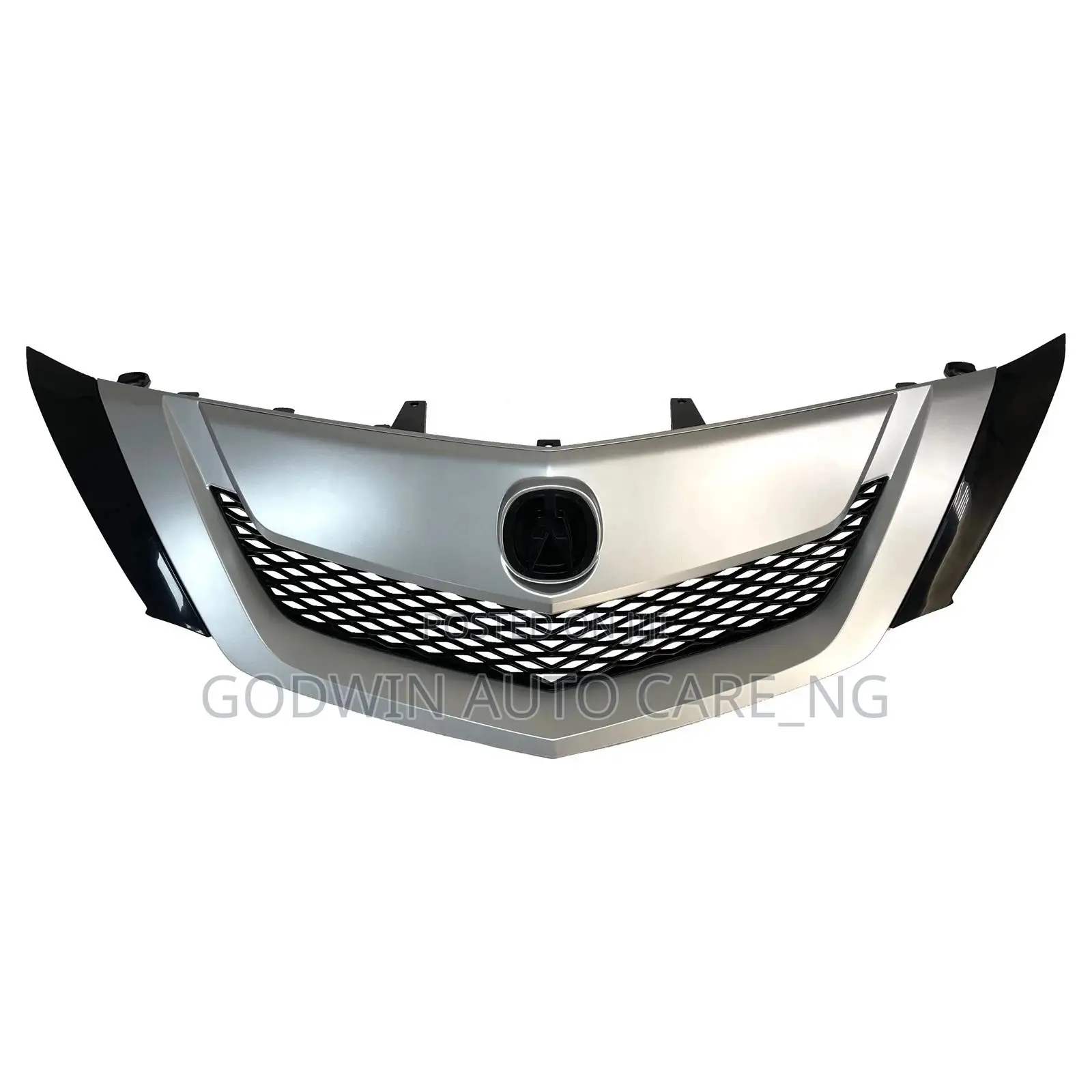 Front Grille Acura ZDX 2012 Brand New