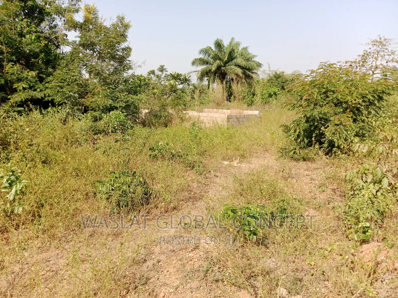 Plots Of Land At Alatori Aganga Area Osogbo