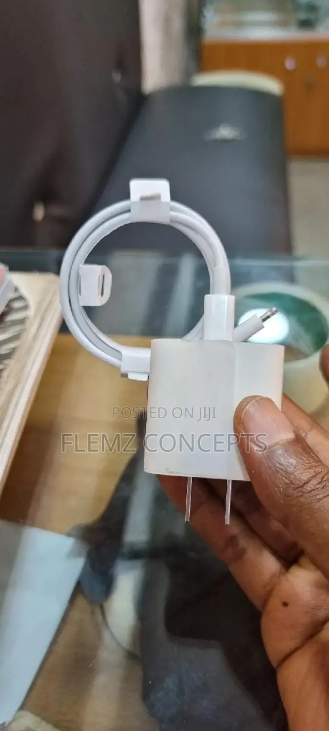 20w Type-C 2 Pin iPhone Fast Charger