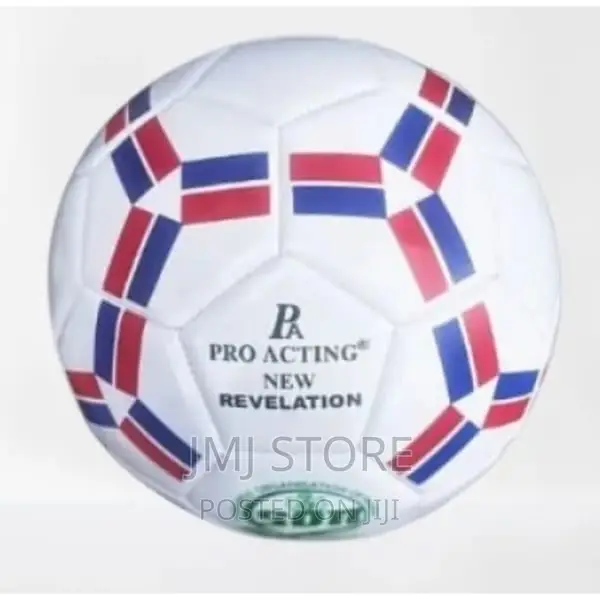 Pro Active Leather Ball