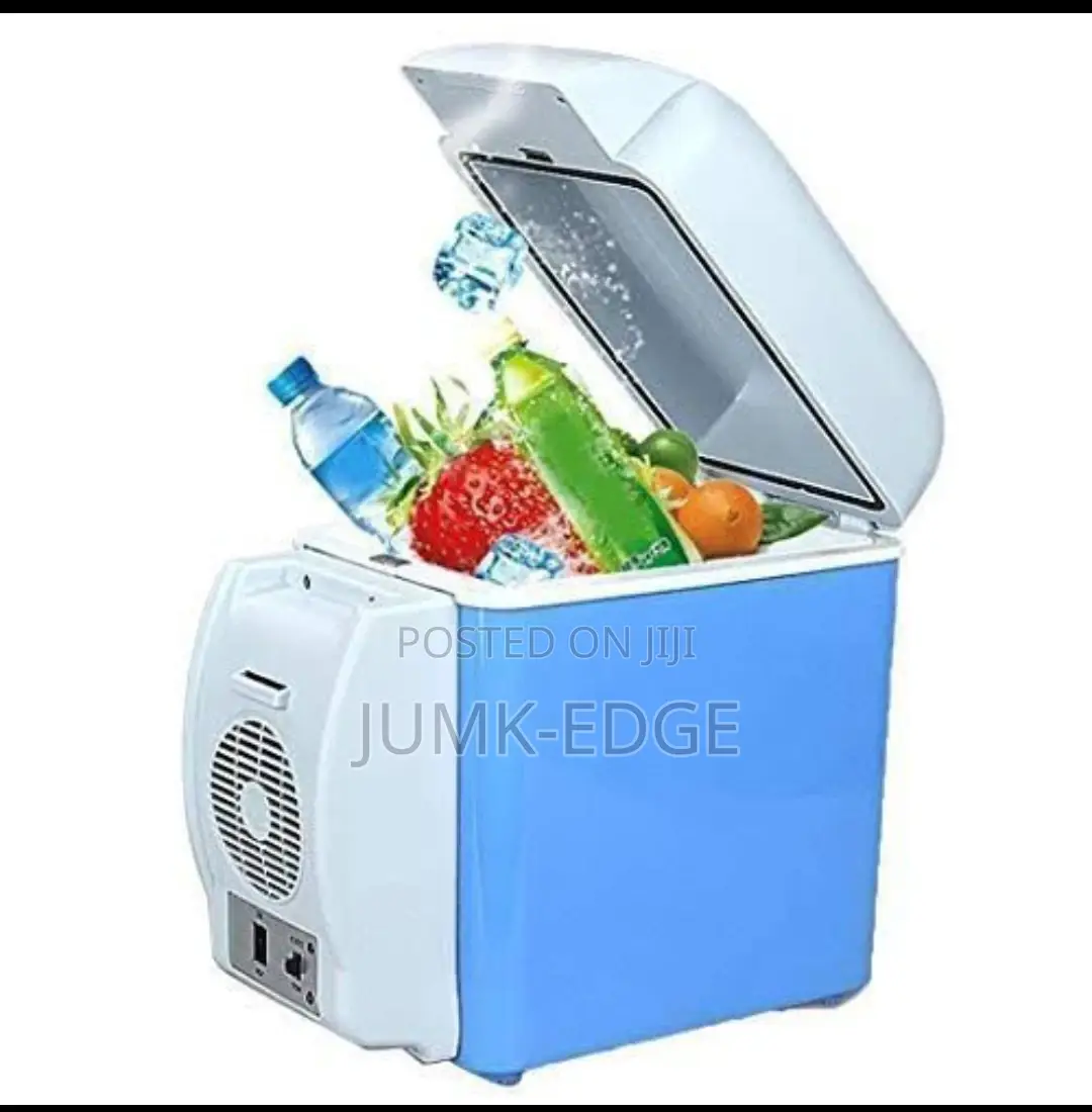Mini Car Refrigerator