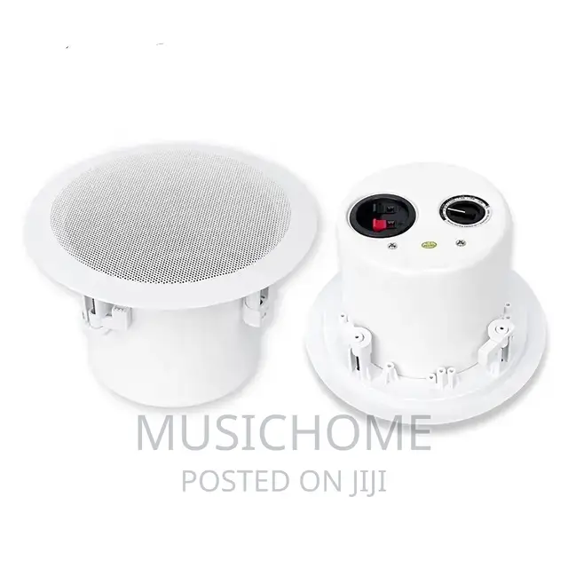 Baddest Inceiling Speaker With Deep Bass Production