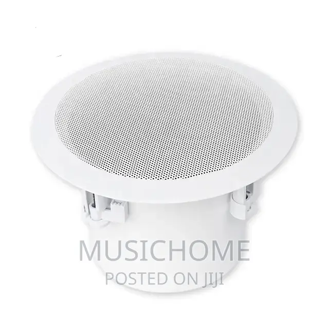 Baddest Inceiling Speaker With Deep Bass Production