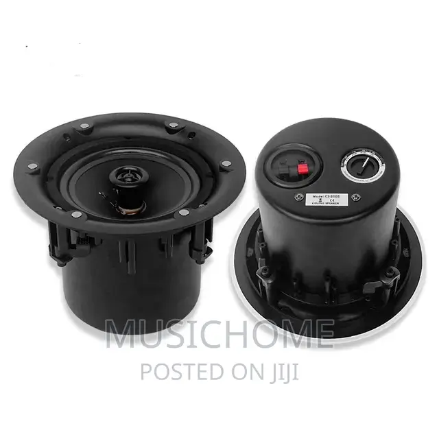 Full Range Inceiling Speaker With Low, Mid High Frequency
