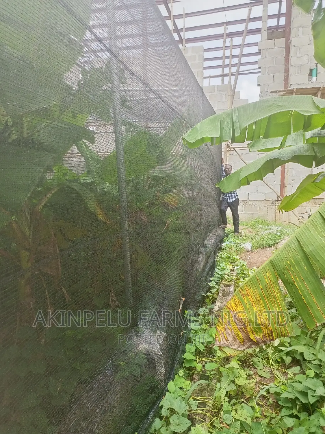 Green House Construction-1/2 Plot of Land.60'×60'