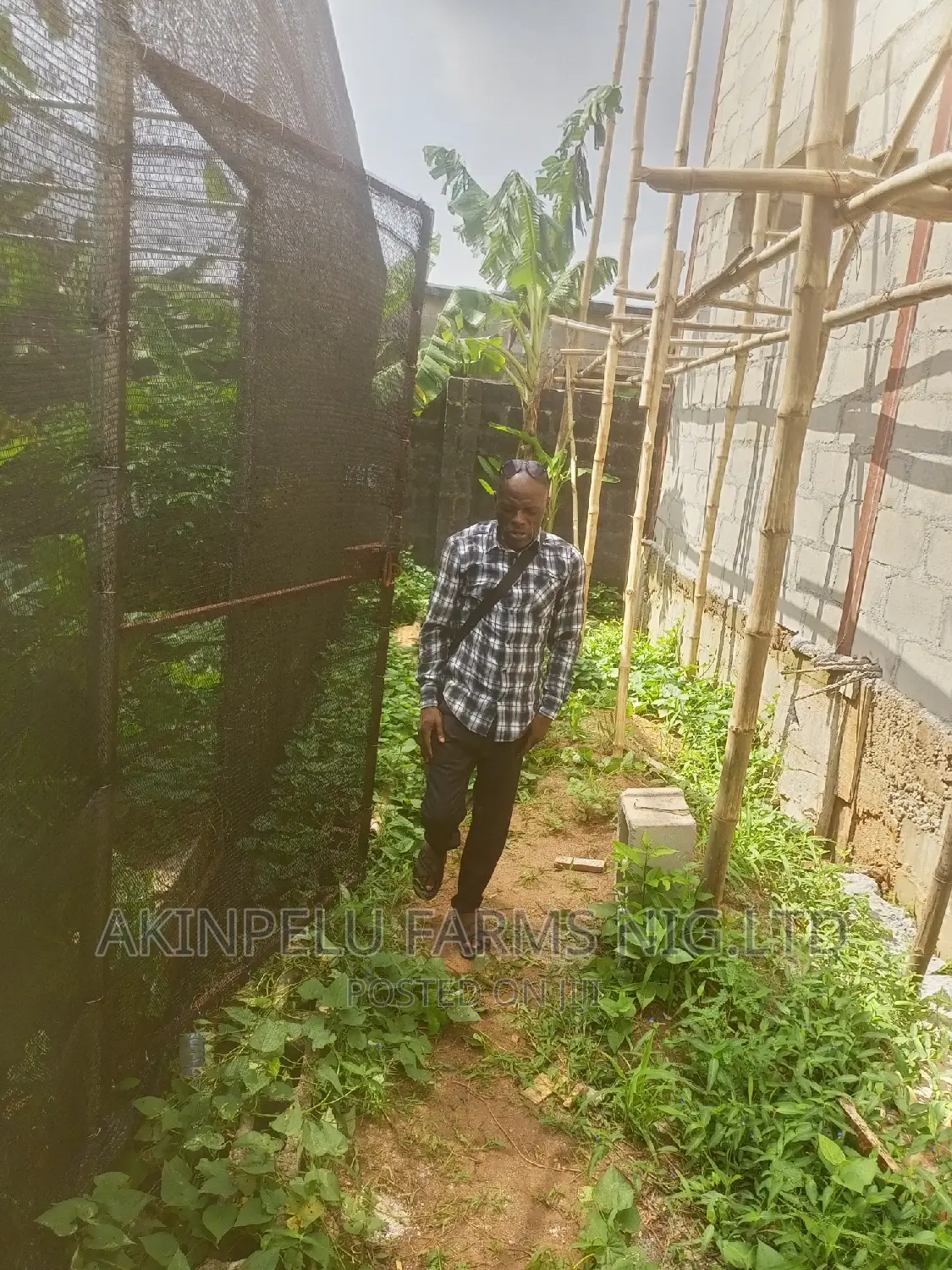 Green House Construction-1/2 Plot of Land.60'×60'