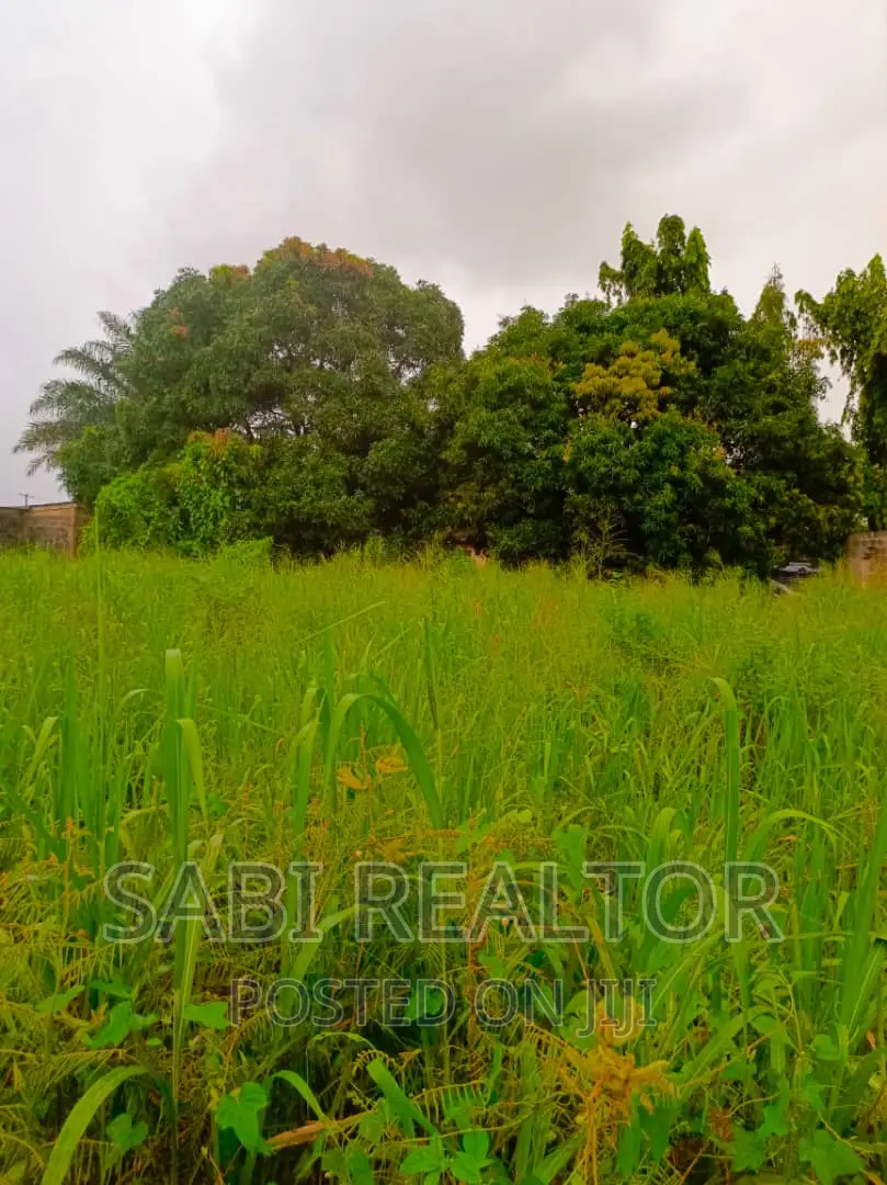 Almost 3plots Facing Ayobo-Isefun Major Road
