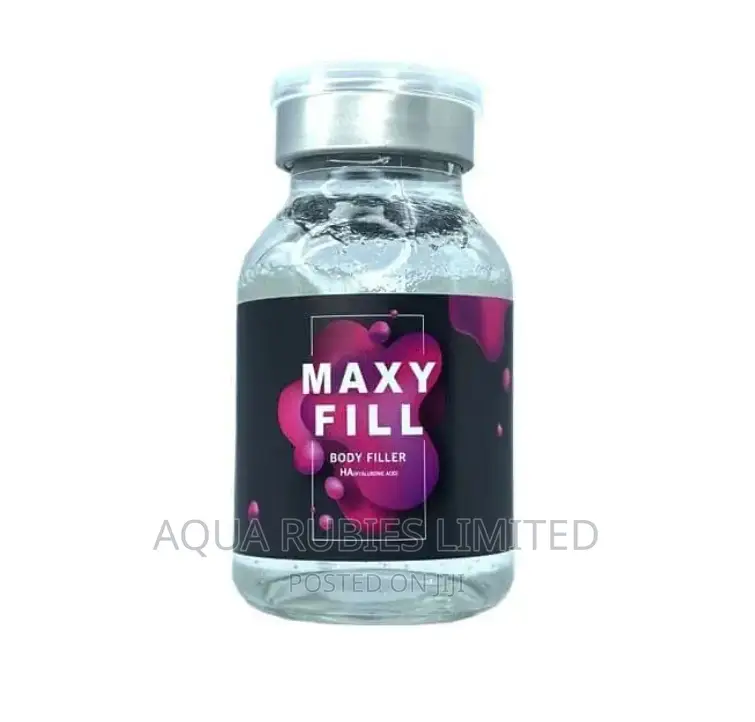 Maxyfill Ha Body Filler ( 70ml)