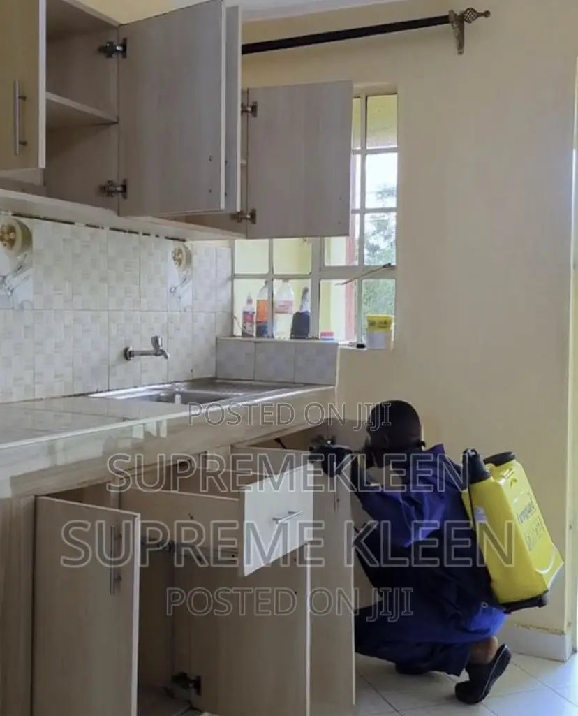 Best Fumigation Service in Ajah