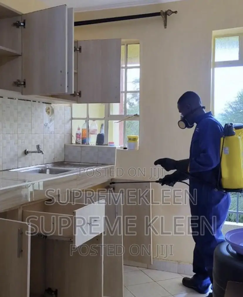 Best Fumigation Service in Ajah