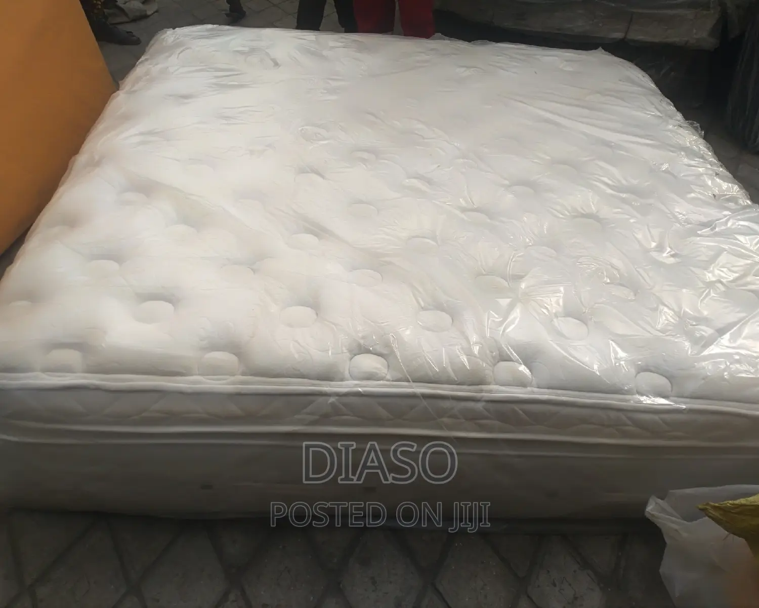 Order for Your Affordable Canadian 14inches 5x6 Get 1pilo