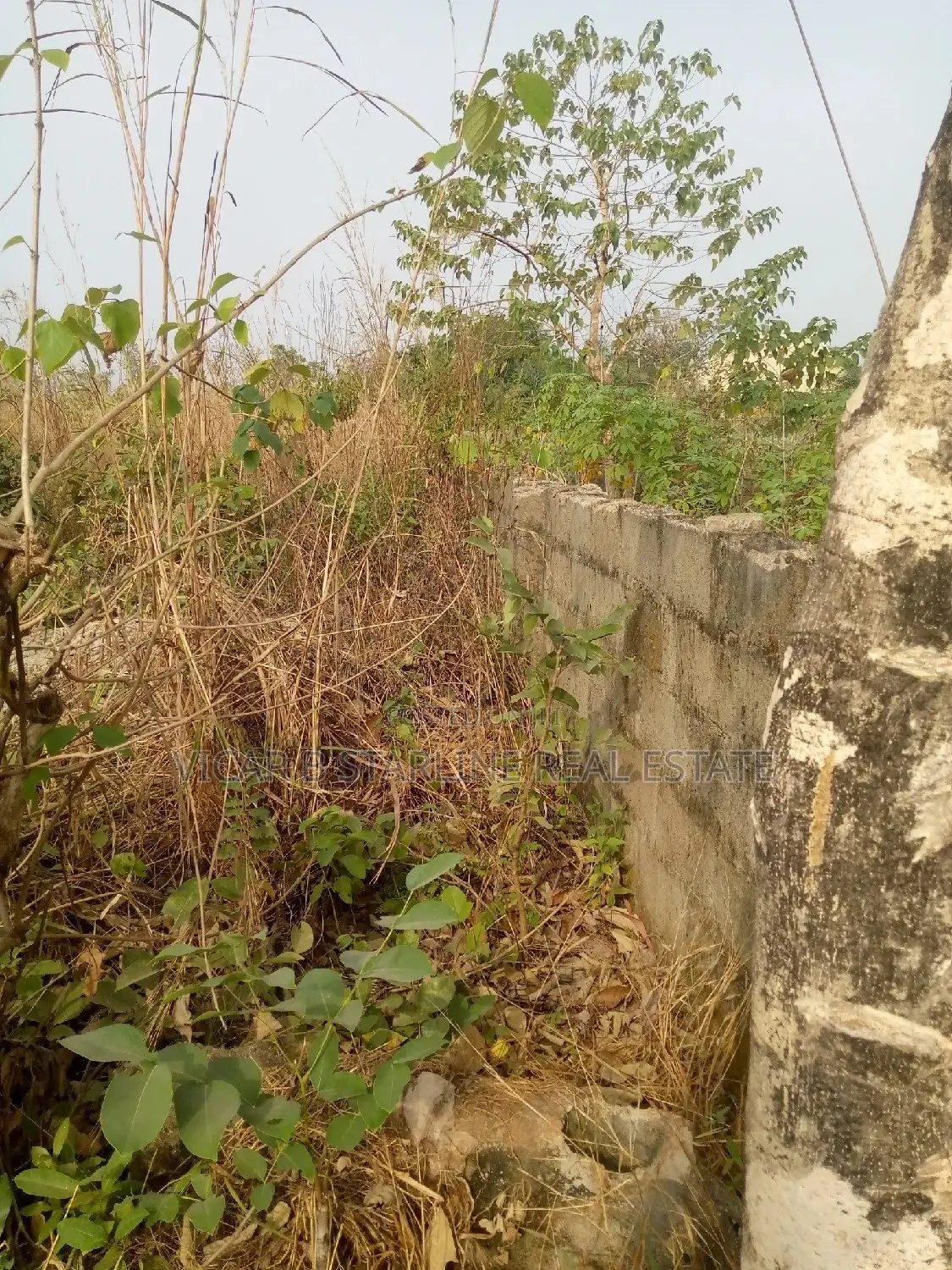 2 Plots of Land With C of O Located at Nkwoagu for Sale