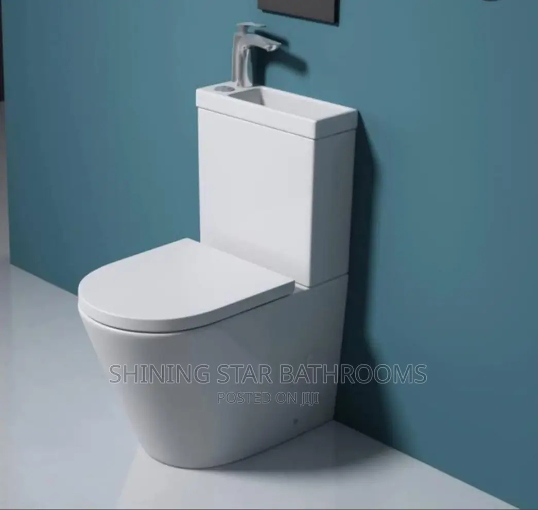 Executive 2-in-1 Toilet Set With Basin