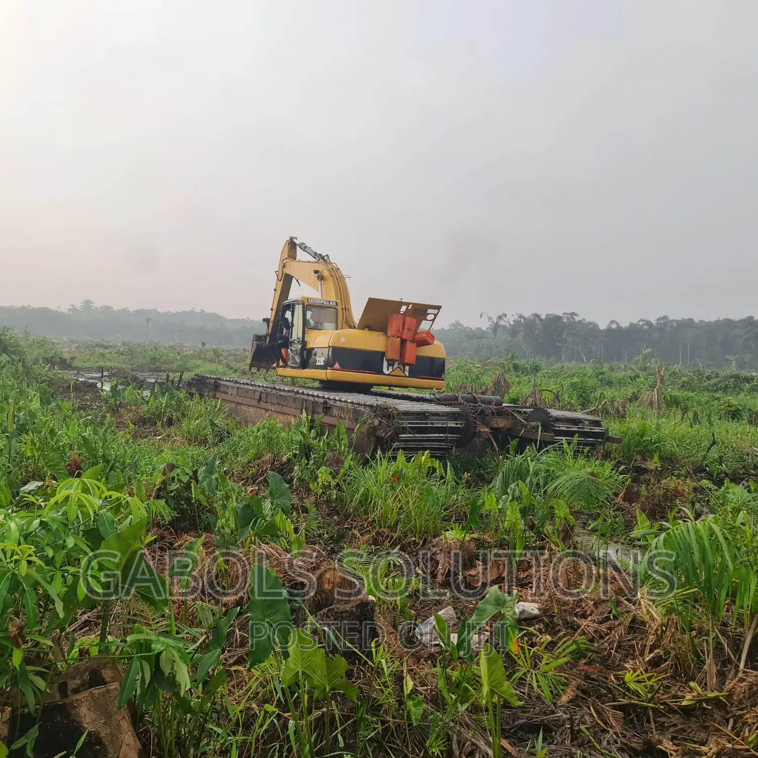 Swamp Clearing and Bush Clearing Swamp Buggy
