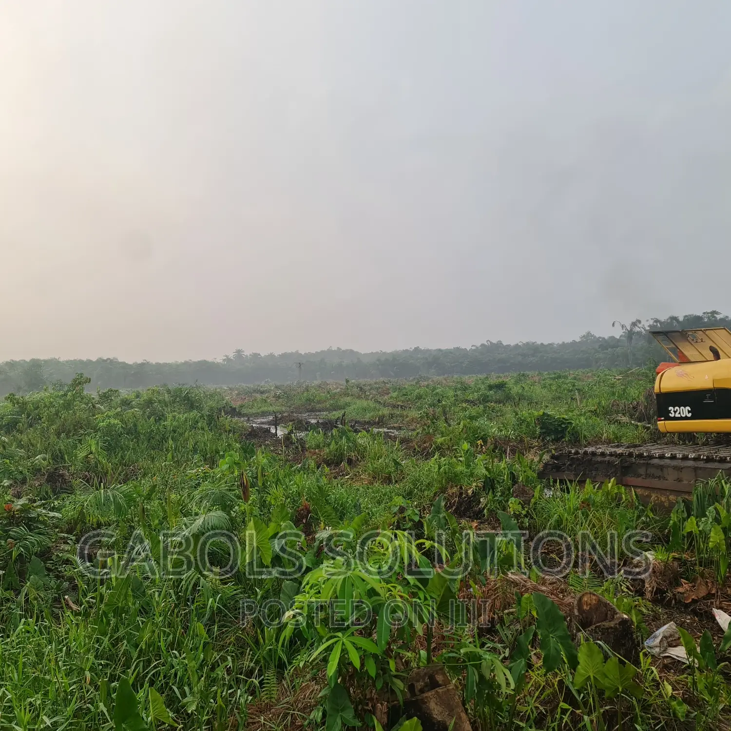 Swamp Clearing and Bush Clearing Swamp Buggy