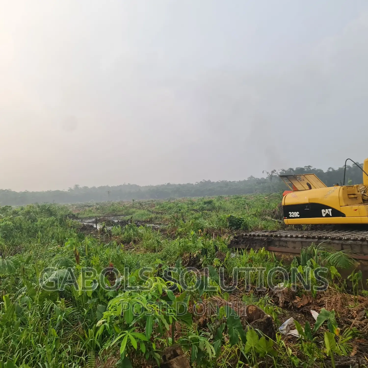 Swamp Clearing and Bush Clearing Swamp Buggy
